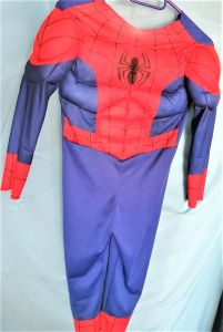 Kids Costumes to Hire - Spiderman - Padded- CHILD